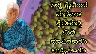 midi mavinakayi uppinakayi  mango midi pickle  ಹಳ್ಳಿ ಶೈಲಿಯಲ್ಲಿ ಮಿಡಿ ಮಾವಿನಕಾಯಿ ಉಪ್ಪಿನಕಾಯಿ [upl. by Ynar556]