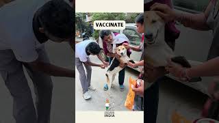 Our annual rabies vaccination drive [upl. by Airad]