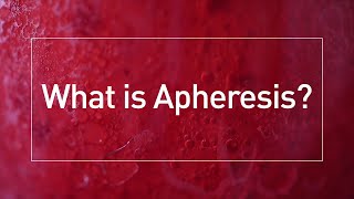 Ask Bloodworks What is Apheresis [upl. by Fulks740]