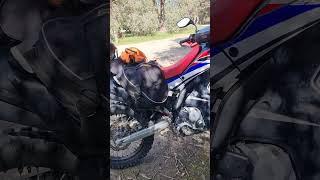 CRF250 Rally REVIEW 53000km 7 years Ownership [upl. by Eirroc]