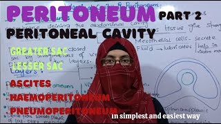 Peritoneal Cavity  part 2 Greater sac Lesser sac clinical problems ayeshamedicaleducation [upl. by Negem30]