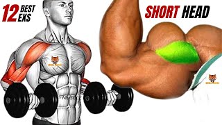 TOP 12 SHORT HEAD BICEPS WORKOUT TO GET WIDE ARMS AT GYM [upl. by Solraced]