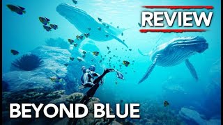 Beyond Blue Review [upl. by Atsev]