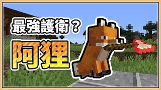 【Minecraft】狐狸也會保護主人嗎？就讓牠咬著紅色斧頭吧！ [upl. by Zia]