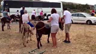 Donkeys ridding Cyprus 24052013 [upl. by Rosemarie]