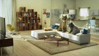 Bouygues Telecom presents Kittens Telecom English Version [upl. by Yltneb]