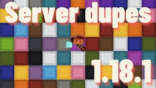 EASY MULTIPLAYER DUPLICATION GLITCHES in Minecraft 1181 [upl. by Onra]