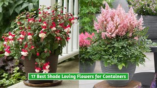 17 Best Shade Loving Flowers for Containers [upl. by Divadnahtanoj630]