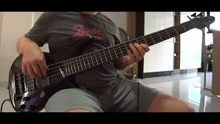 bass collection emg 40dc RHCP soul to squeeze [upl. by Ocire30]