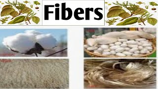 Fibers Pharmacognosy Unit 4  B Pharm 4 Sem fibers plantfibers [upl. by Miriam]