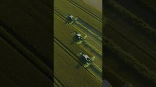 watch breathe in and enjoy the beauty of agriculture claas claast [upl. by Asseret]