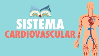 Sistema Cardiovascular  Toda Matéria [upl. by Assirrak]