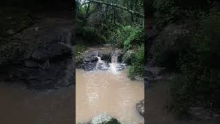 Riachuelo en Chignahuapan [upl. by Haroun]