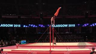 RIJKEN Frank NED  2015 Artistic Worlds  Qualifications Horizontal Bar [upl. by Lamberto782]