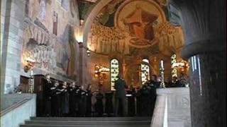 The Choir Of The Catholic Church Our Lady Denmark [upl. by Perretta]