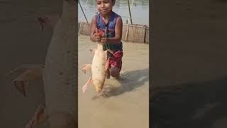 Amazing Hand Fishing Video Fish [upl. by Ayna]