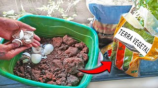 Como fazer terra vegetal em casa SUPER FACIL [upl. by Lupita]