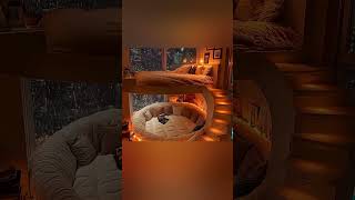 Which bedroom would you visit in a dream 🛌🌧️ aesthetic aurorarelaxing vibes asmr viral [upl. by Wasserman45]