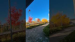 Norrland of Sweden Lovely fall day in weekend imaginedragons live sky explorethebeautyofnature [upl. by Primo]