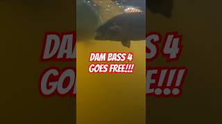 DAM Bass Goes Free 4 [upl. by Cand711]