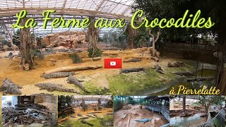 La Ferme aux crocodiles est un parc zoologique impressionnant situé à Pierrelatte dans la Drôme [upl. by Millar815]