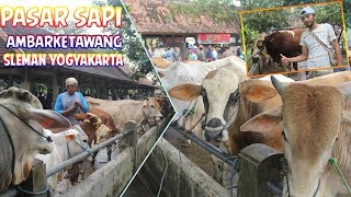 PASAR SAPI AMBARKETAWANG YOGYAKARTA Full Video BLUSUKAN [upl. by Reeta]