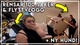 RENSAR UT 100 SAKER FLYTTVLOGG SECONDHAND SHOPPING amp NY HUND  VLOGG [upl. by Ennovihc400]