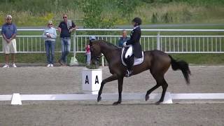 Marilyn Little amp RF Scandalous CIC 3 Dressage [upl. by Attirehs995]