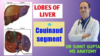 LOBES OF LIVER amp Couinaud segment [upl. by Arne475]