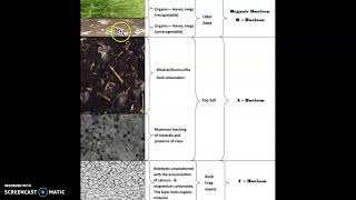 CHERNOZEM SOILS [upl. by Koball165]