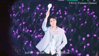 EXO MEMBERS USE THEIR LIGHTSTICK Phong cách quẫy lightstick của EXO [upl. by Rodenhouse]