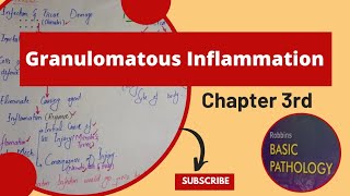 Granulomatous Inflamationchronic inflammationRobbins Pathology Lecturespathology robbins mbbs [upl. by Cassell247]