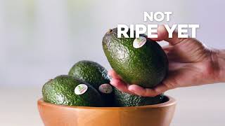 HOW TO STORE AVOCADOS  Avocados From Mexico [upl. by Rehtnug]