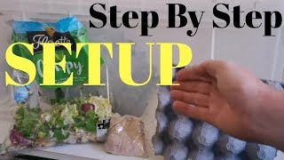 How To Setup A Dubia Roach Breeding Colony For FAST Production [upl. by Lirrad]