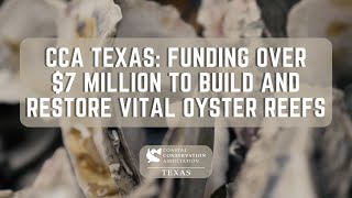 CCA Texas Funding Over 7 Million to Build and Restore Vital Oyster Reefs [upl. by O'Callaghan817]