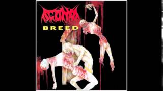 Agonia  Breed Full EP [upl. by Elisabetta393]