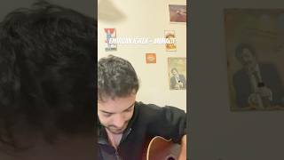 Emircan İğrek  Muhalif cover [upl. by Assyli296]