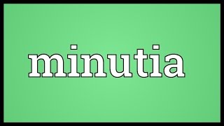 Minutia Meaning [upl. by Esina]