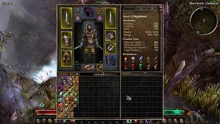 Grim Dawn  DSSalazar Run Low Level 1 [upl. by Enak]