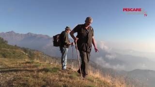 Caccia di montagna il Comprensorio Alpino Torino 1 [upl. by Penoyer]