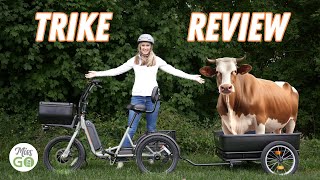 Rad Power Bikes RadTrike Review 1599 ETricycle ebike [upl. by Spenser]