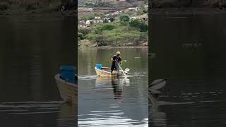 Caught netting at Inanda Dam [upl. by Wilma]