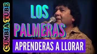 Los Palmeras  Aprenderas a llorar [upl. by Uttasta877]