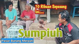 MURAH MERAKYATHARGA BURUNG MERPATI DI PASAR SUMPIUH BANYUMAS HARI INI [upl. by Elodie]