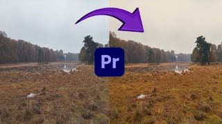 AUTOMATIC Color Correction in Premiere Pro 2024 [upl. by Oibirot]