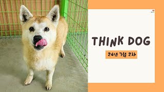 띵독Think Dog 24년 7월 소식 둘 [upl. by Lara358]