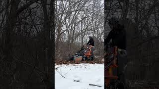 Worky Quad SSQ and Forax Mulcher cleaning up those overgrown thorn and vine areas Shorts [upl. by Fanya]