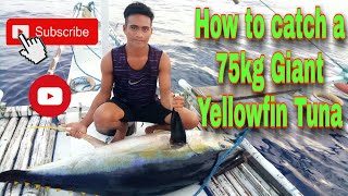 How to Catch a 75kg GIANT TUNA  Yellowfin Tuna [upl. by Nahseez457]