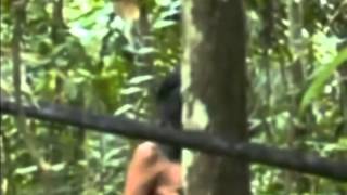 Rare footage of an isolated indian tribe in the Amazon [upl. by Agee]