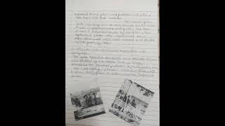 project on Displacing indigenous people class 11  term 2 History [upl. by Cryan]